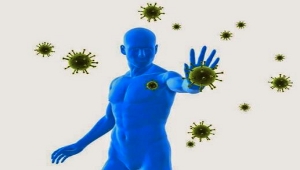 Epidemiolog&iacute;a